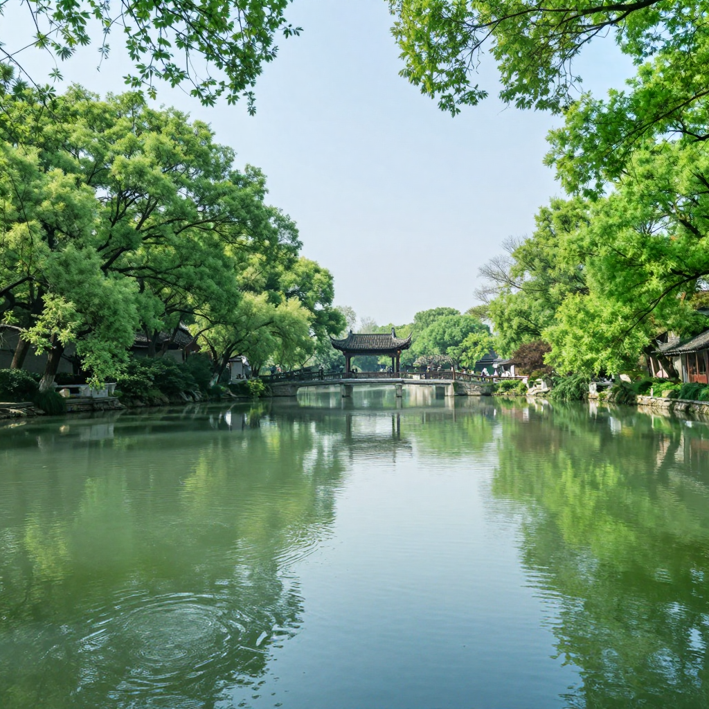 游客体验实拍
